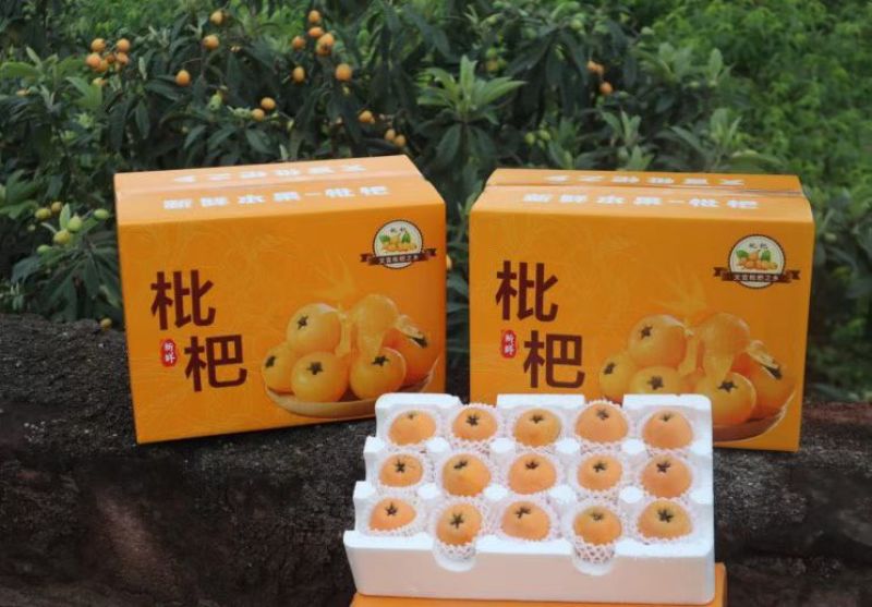 文宫大五星枇杷皮薄肉厚汁多酸甜可口