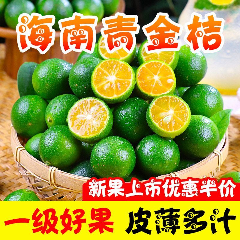 海南小金桔全平台一件代发奶茶店批发特价
