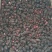 优质冻干桑葚现货批发