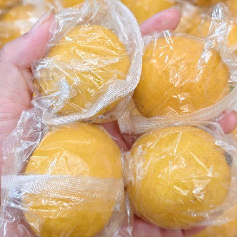 柠檬产地直发各个型号多种规格都有货