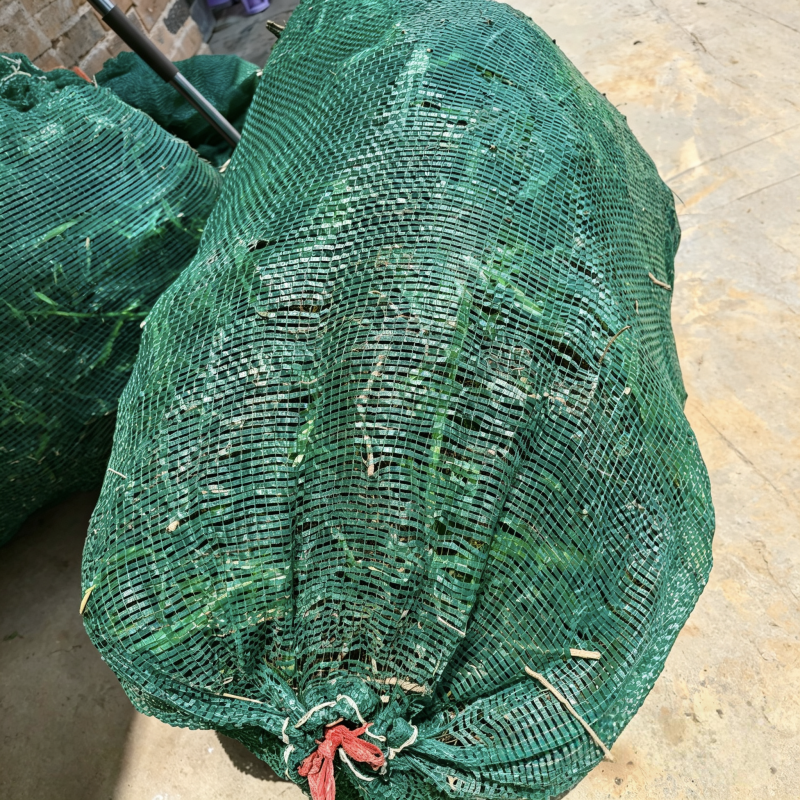 黄花菜种苗根苗可食用特产粗高产四季种植易活祁东县发货