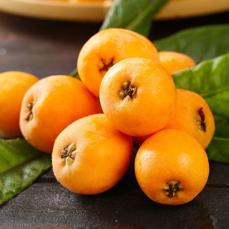 【精选】大五星枇杷质优价廉现摘现发一手货源爆甜多汁