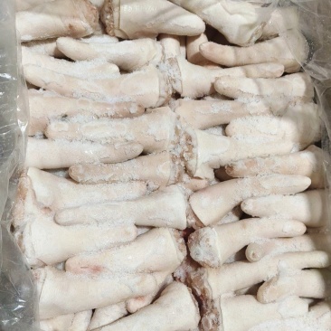 短尾
