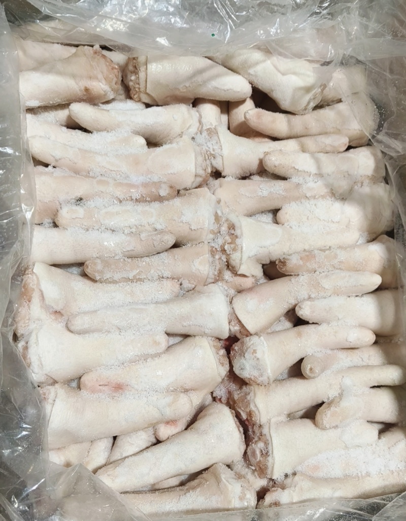 短尾