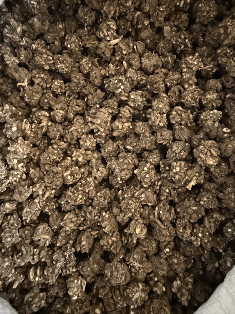 猫爪草精选统装货产地直销