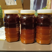 土蜂蜜