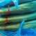 新鲜粽叶大量供应，一手货源，品质保证，量大从优，欢迎来电