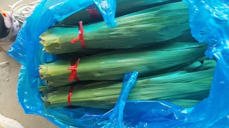新鲜粽叶大量供应，一手货源，品质保证，量大从优，欢迎来电