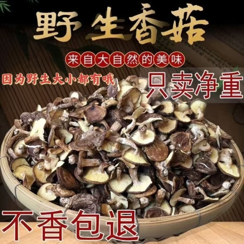 新椴木香菇原木香信菇冬菇特产