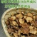 新椴木香菇原木香信菇冬菇特产