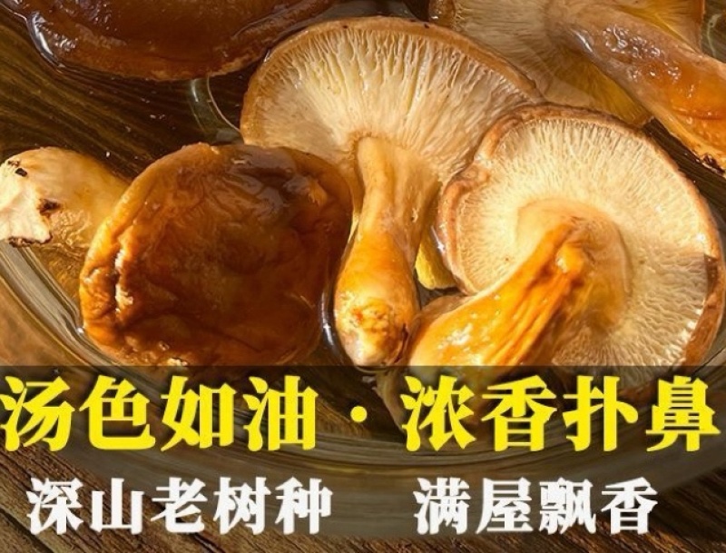 野生香菇黄底黑面烤干特香饺子炒菜饭堂商用实惠装