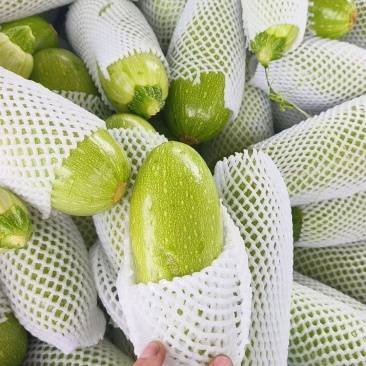 西葫芦