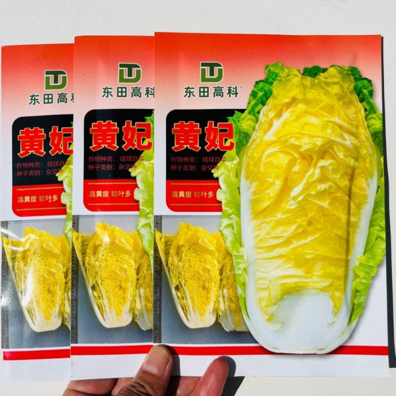 黄妃耐热黄心菜种子杂交品种心叶金黄色软叶多高品质白菜种子