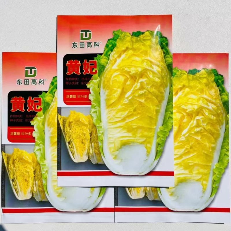 黄妃耐热黄心菜种子杂交品种心叶金黄色软叶多高品质白菜种子