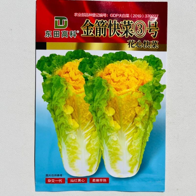 耐热2号速生快菜种子原装新种春秋菜园播种黄心快菜种子鲜嫩