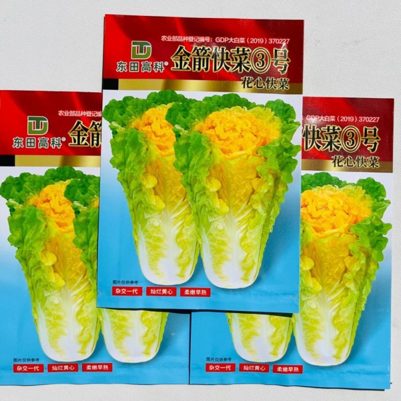 耐热2号速生快菜种子原装新种春秋菜园播种黄心快菜种子鲜嫩