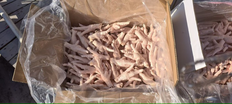 凤爪品质稳定货品充足专业服务欢迎咨询品质**口感**