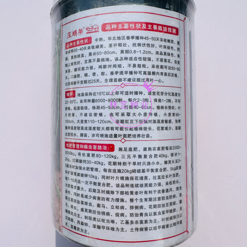 压塌架长地青豆角种子中熟高产抗病抗倒地豆种籽不搭架长豇豆