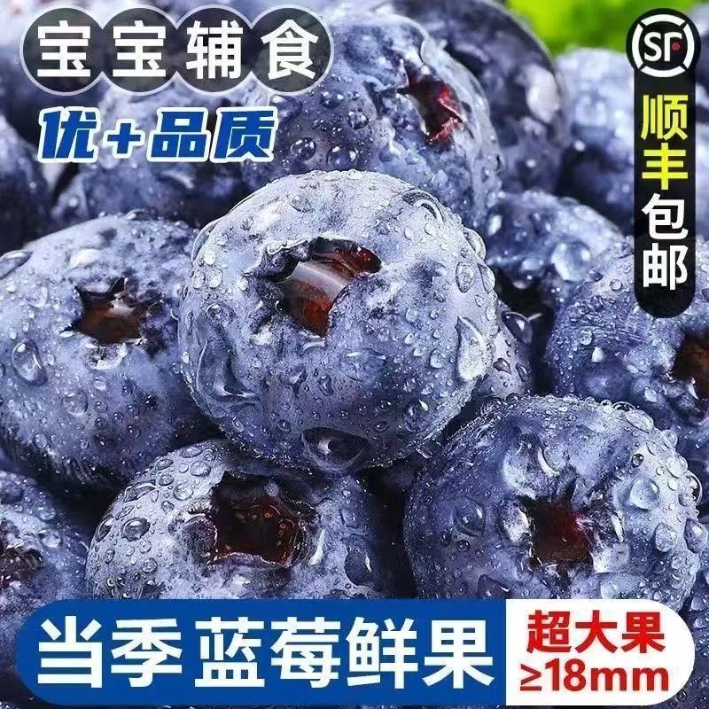 云南高原冷区蓝莓