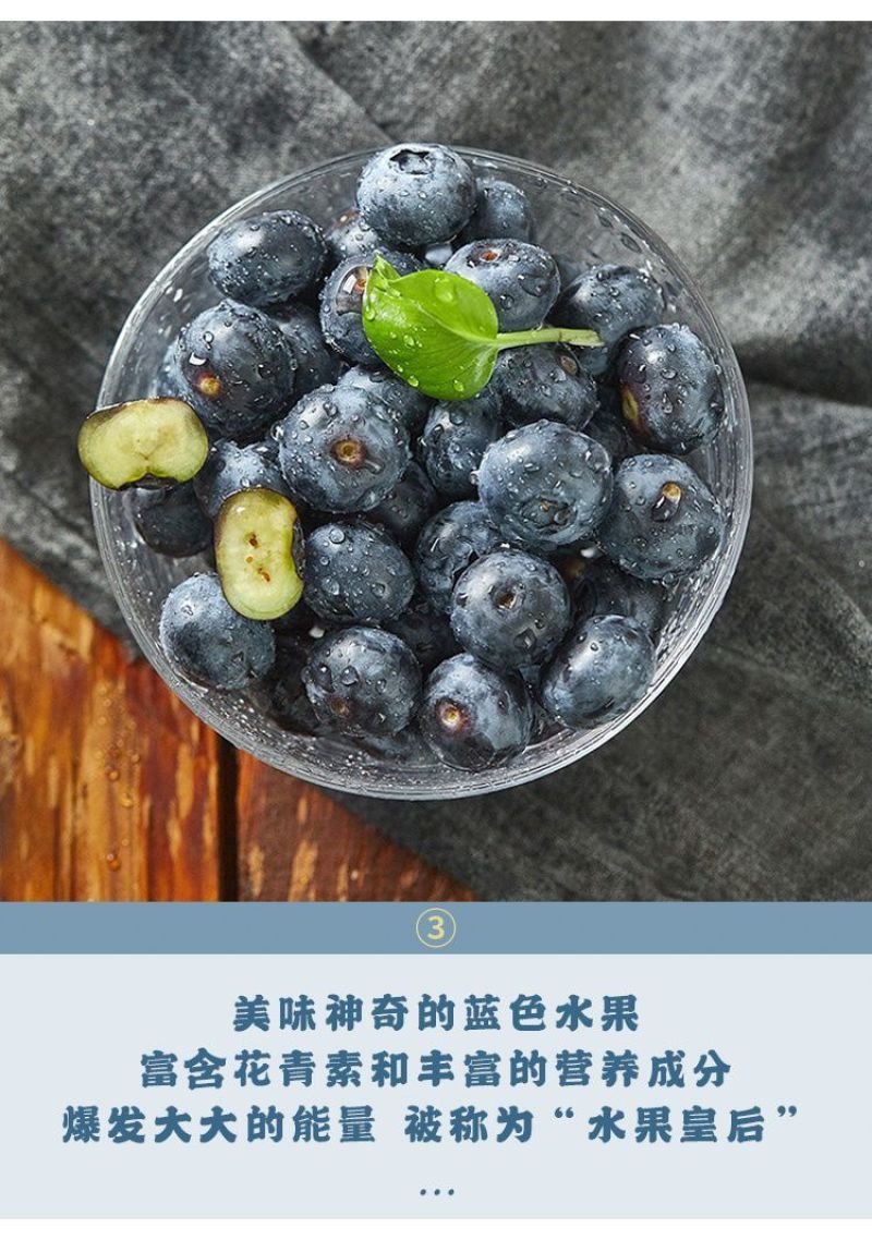 云南高原冷区蓝莓