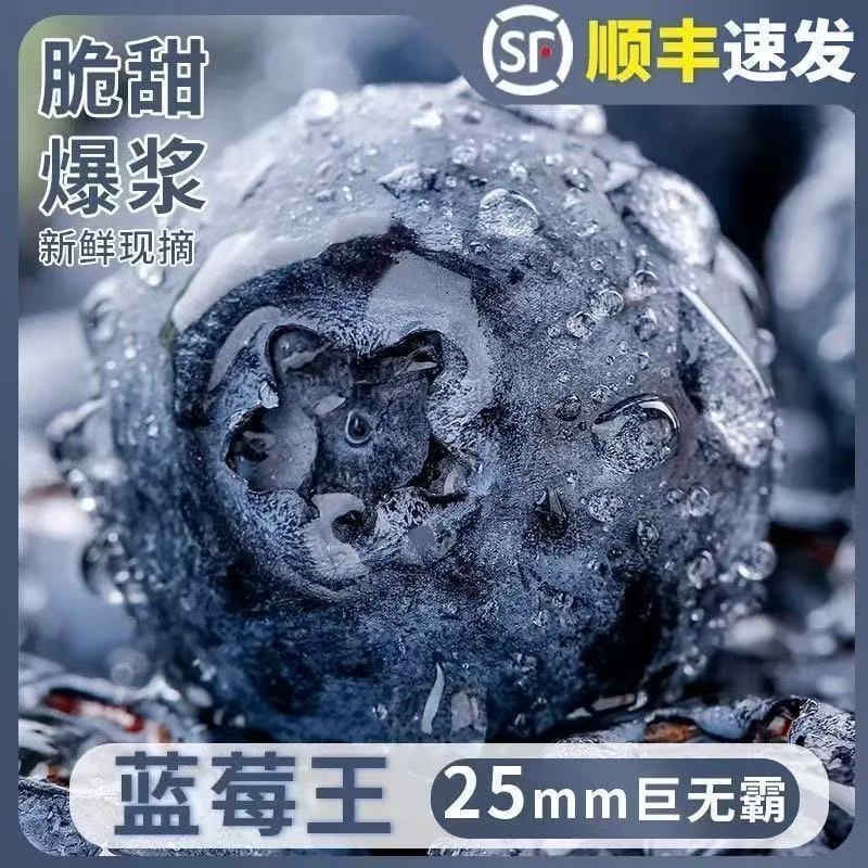 云南高原冷区蓝莓