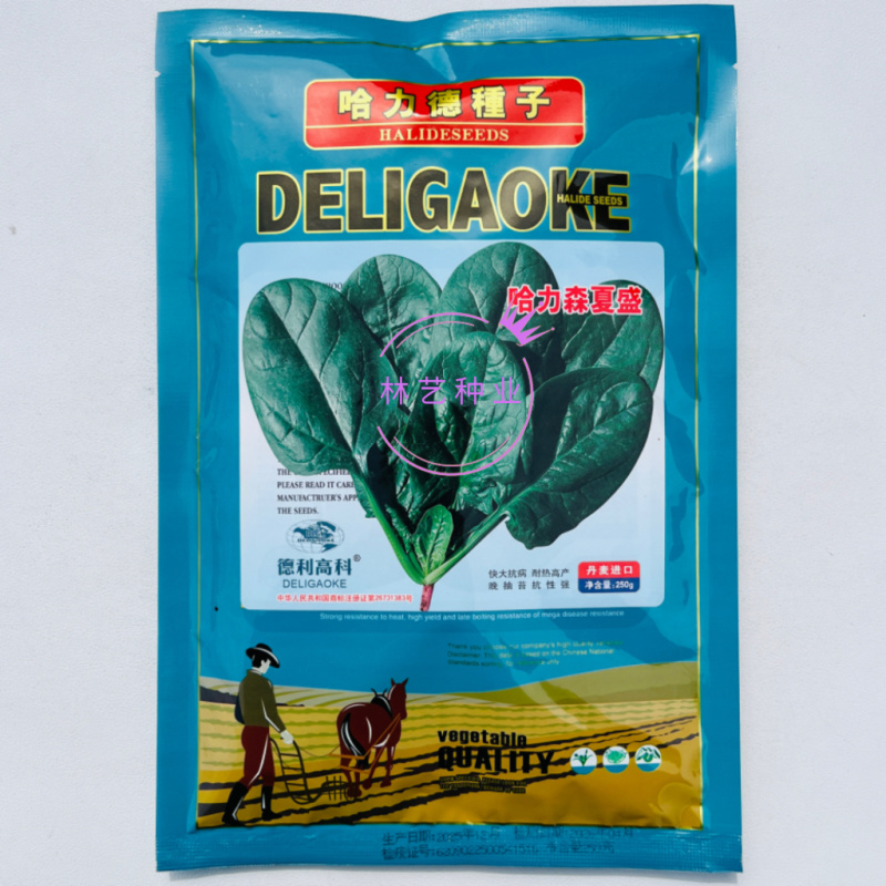 哈力森夏盛菠菜种子抗热抗高温越夏耐抽苔抗病大圆叶菠菜种籽