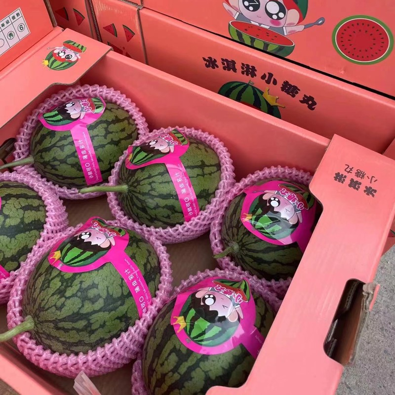 小糖丸西瓜/砀山西瓜【包熟包甜/全国发货】欢迎来电洽谈