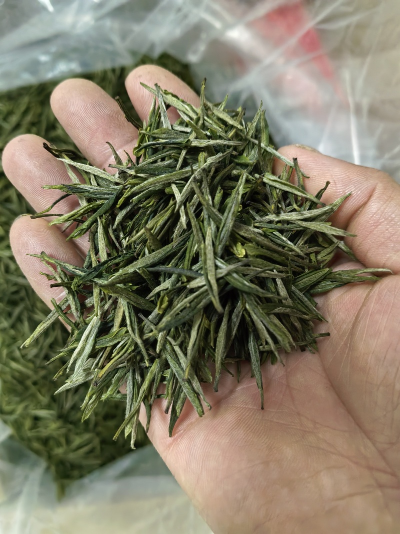 高山绿茶，精品茶叶保质保量，量大忧会对接全国