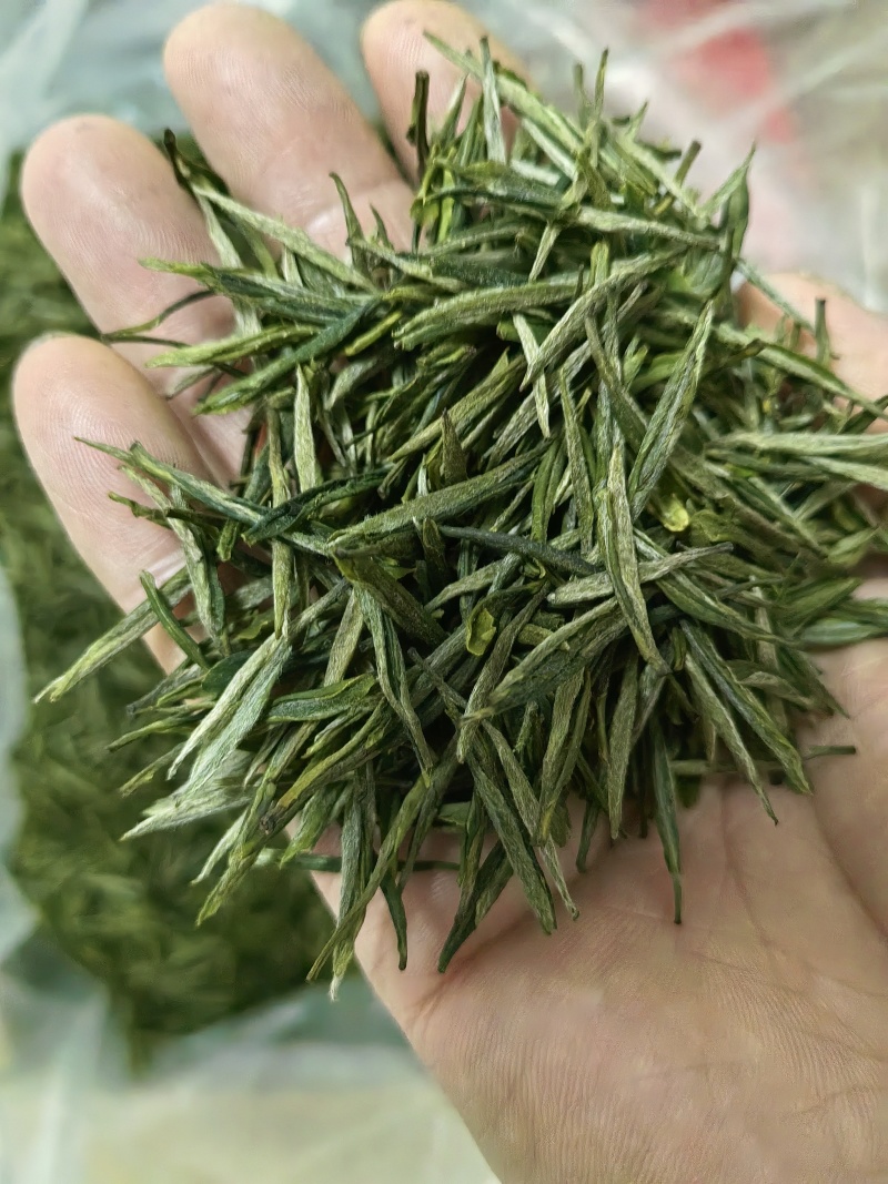 高山绿茶，精品茶叶保质保量，量大忧会对接全国
