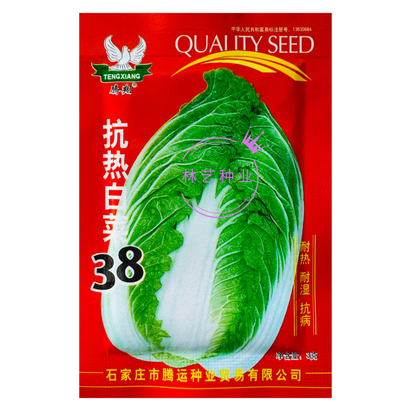 抗热白菜38白菜种子杂交高产抗病耐热耐抽薹大白菜种籽夏秋