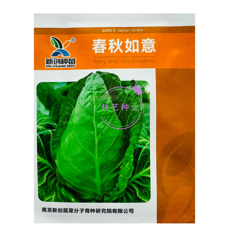 新创春秋如意牛心甘蓝种子高产抗病耐抽苔农家春秋季蔬菜