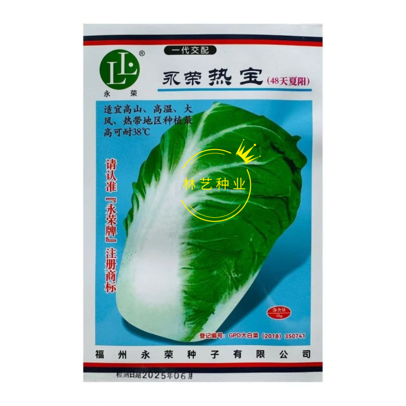 永荣热宝48天夏阳白菜种子早熟耐高温纤维少色淡绿夏阳白菜