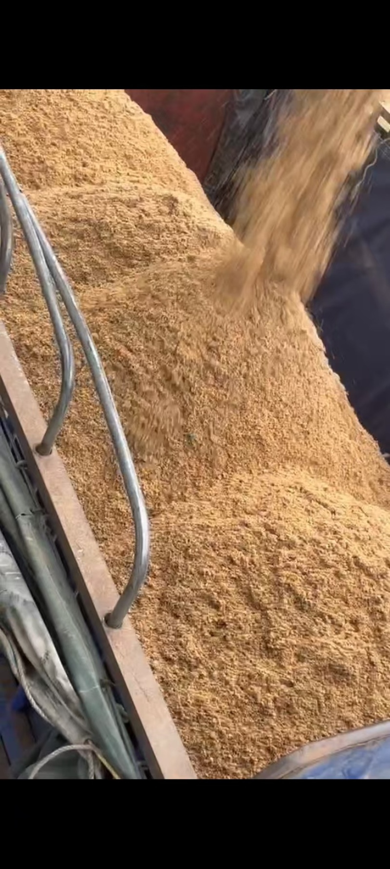 【推荐】厂家直供新鲜啤酒糟湿度低养殖专用长期稳定供货