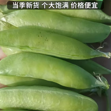 豌豆角