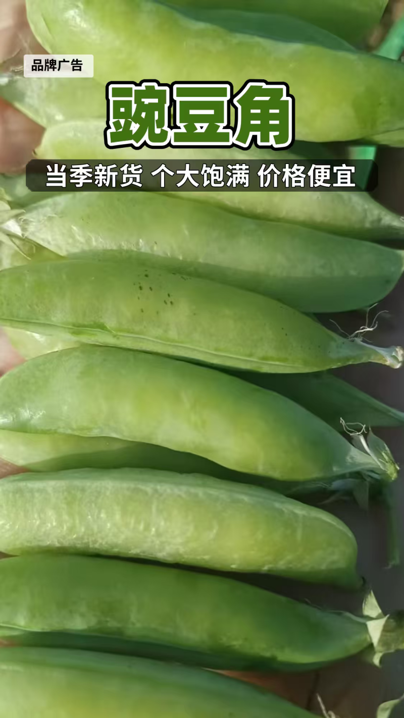 豌豆角