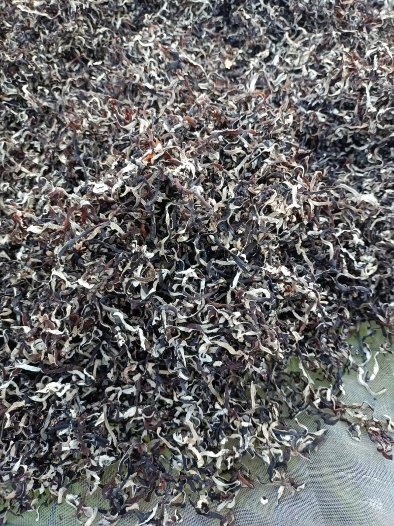 【优选】电商木耳丝、二茬产地直销品质好欢迎联系