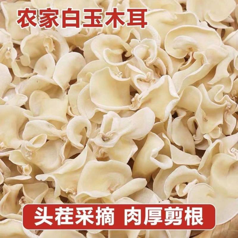 【优选】产地直销格白玉木耳、玉木耳、新货白玉木耳批发零售
