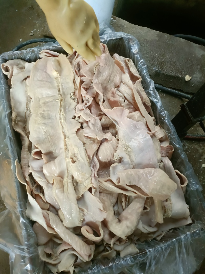 牛小肠，开边去油，源头直供/量大从优/欢迎下单联系