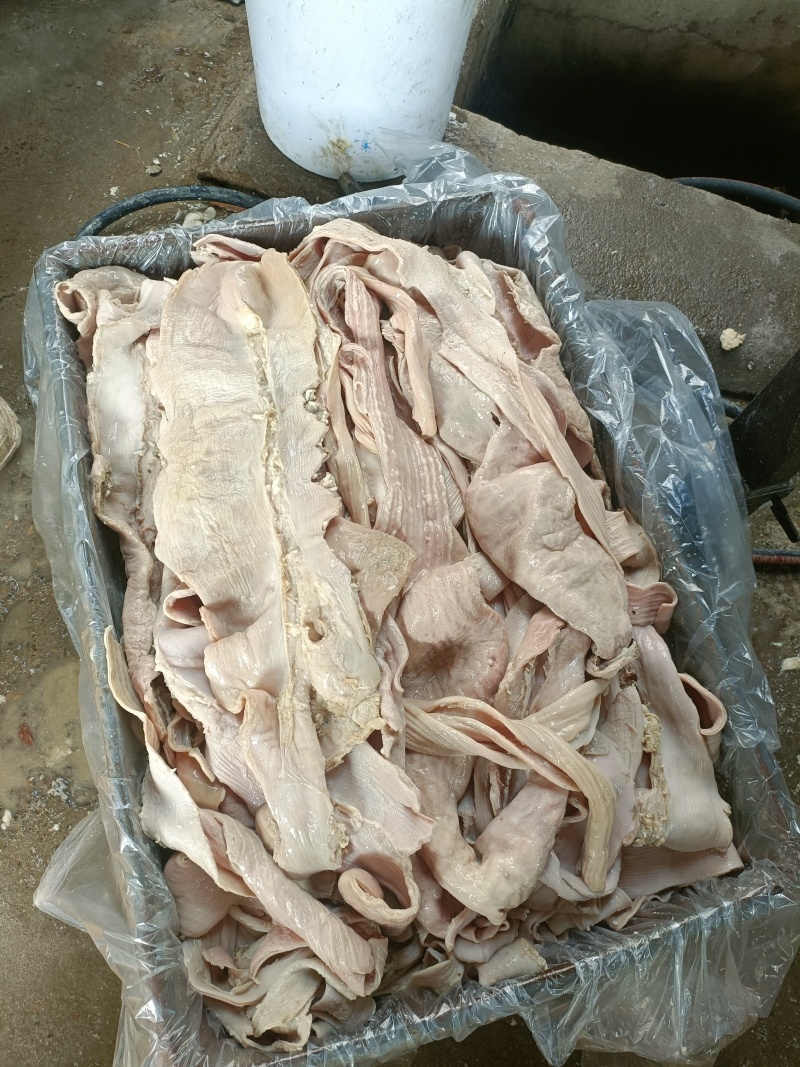牛小肠，开边去油，源头直供/量大从优/欢迎下单联系