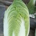 大白菜