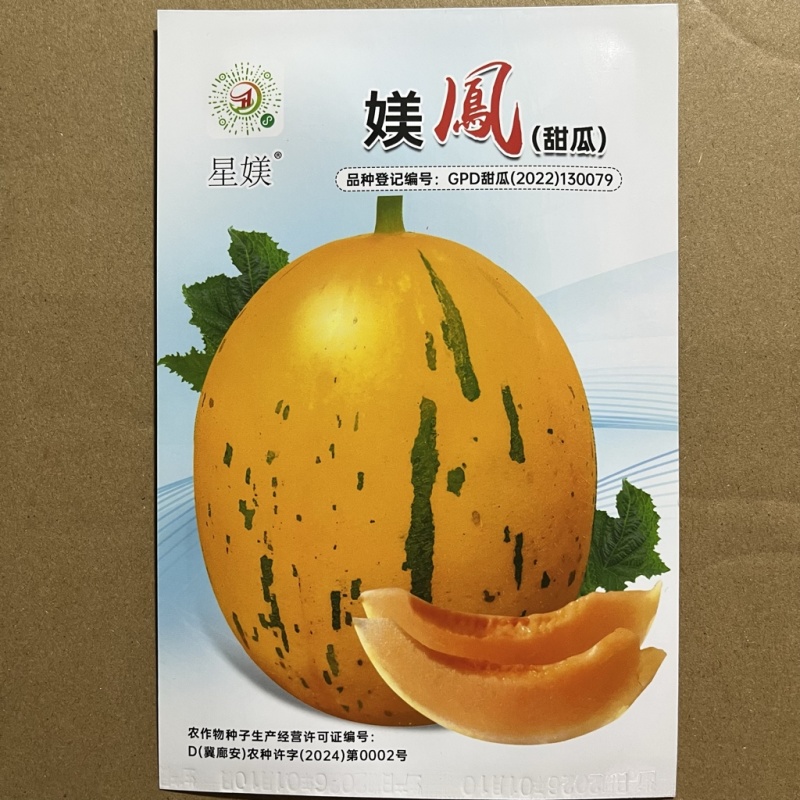 美凤黄流星甜瓜种子品种甜度高皮薄，