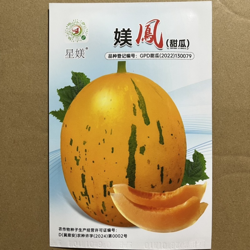 美凤黄流星甜瓜种子品种甜度高皮薄，