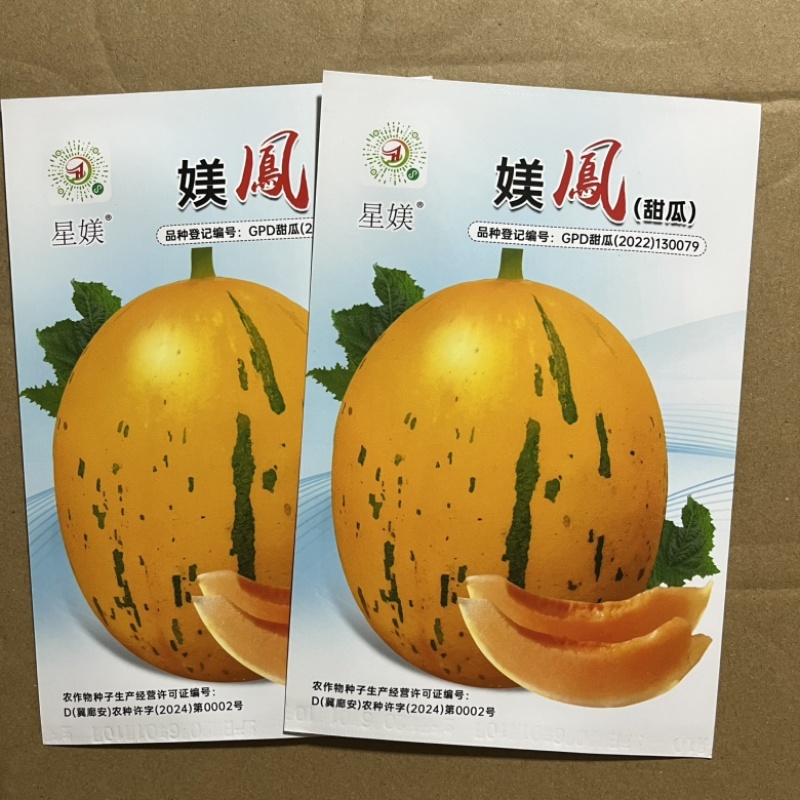 美凤黄流星甜瓜种子品种甜度高皮薄，