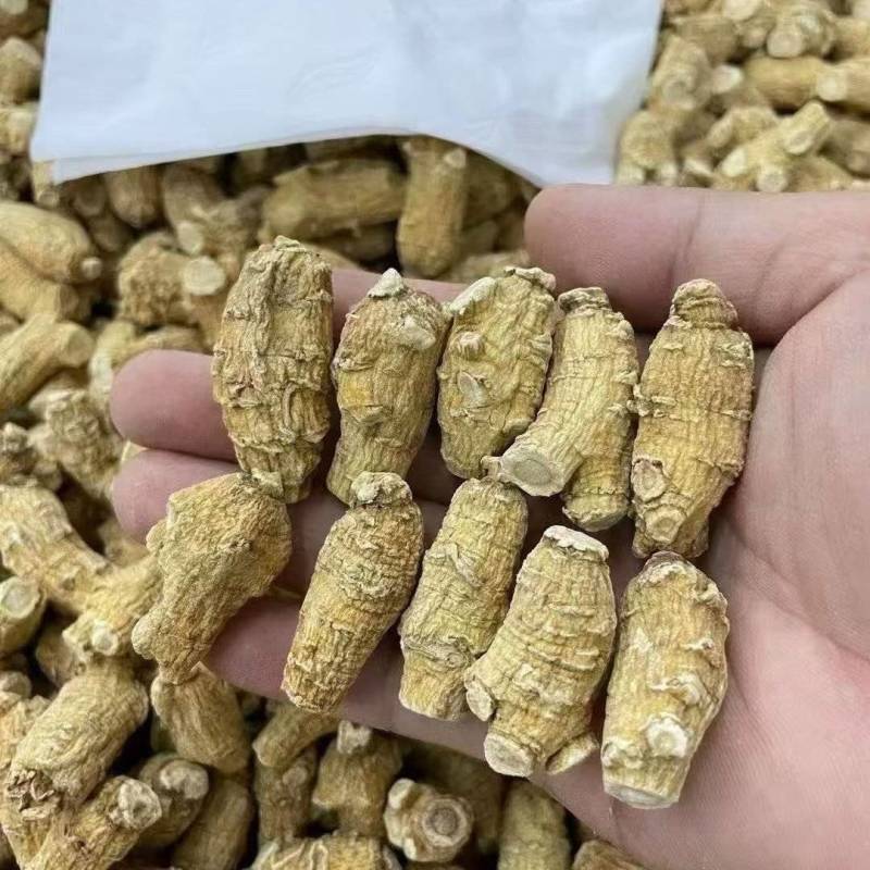 西洋参粒500克西洋参皂甙含量60%在头部纹路清晰入口回