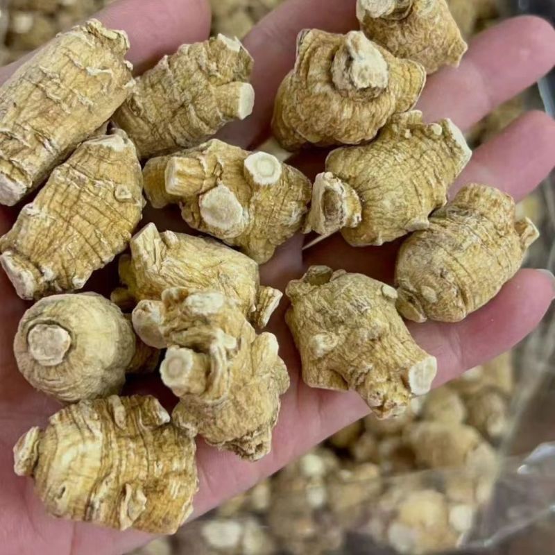西洋参粒500克西洋参皂甙含量60%在头部纹路清晰入口回