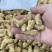 西洋参粒500克西洋参皂甙含量60%在头部纹路清晰入口回