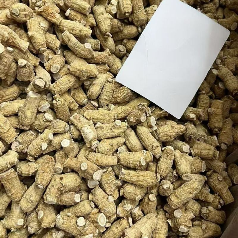 西洋参粒500克西洋参皂甙含量60%在头部纹路清晰入口回