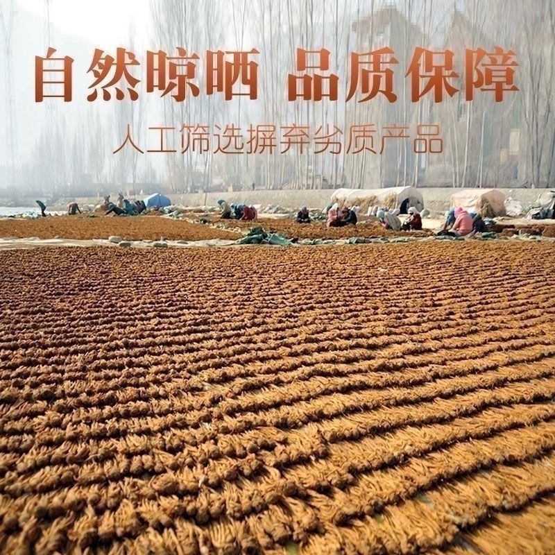 甘肃岷县当归个特级一等品当归干货整根整条黄芪党参组合茶气