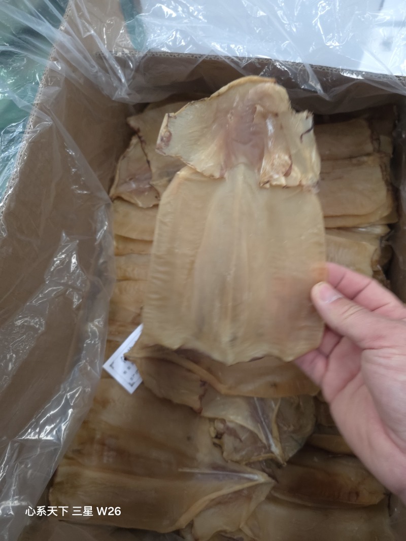 鱿鱼丝鱿鱼生丝质量好价格优惠欢迎咨询