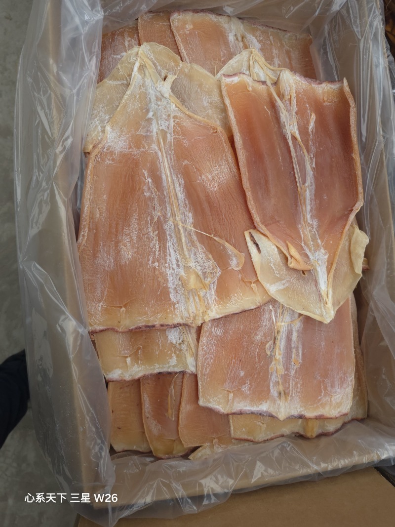 鱿鱼丝鱿鱼生丝质量好价格优惠欢迎咨询
